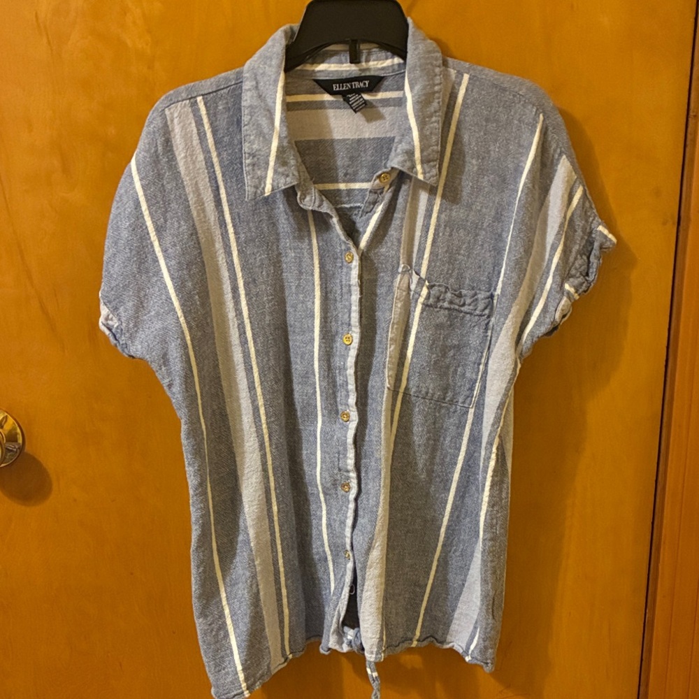 Blue Striped Button Down Shirt